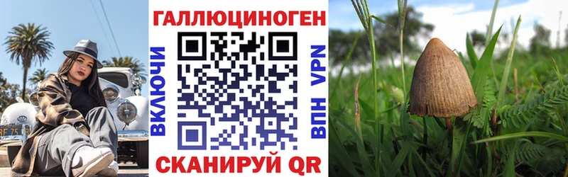 Галлюциногенные грибы ЛСД  Заречный 